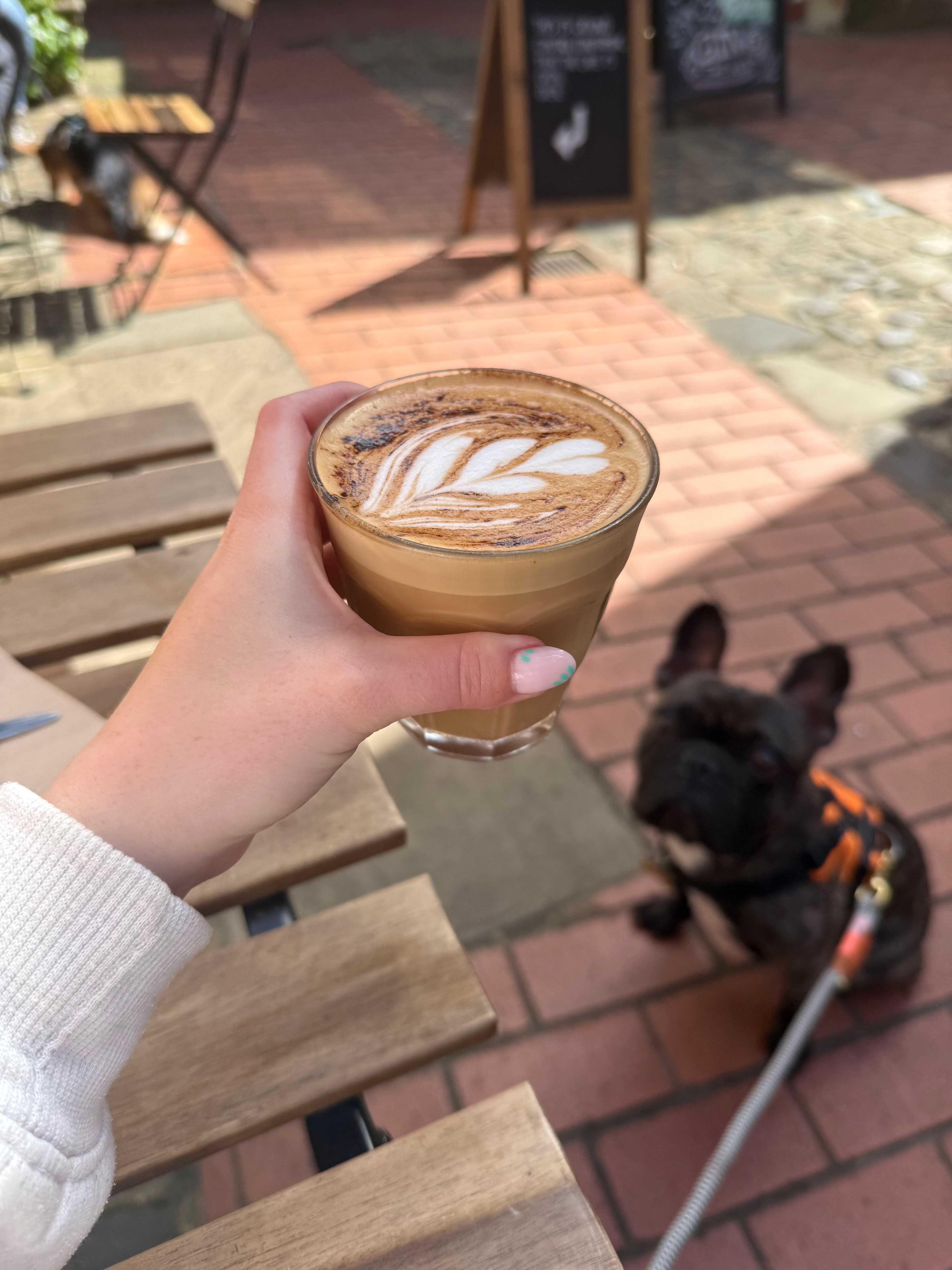 Sophie holding a latte, with Nacho in the background